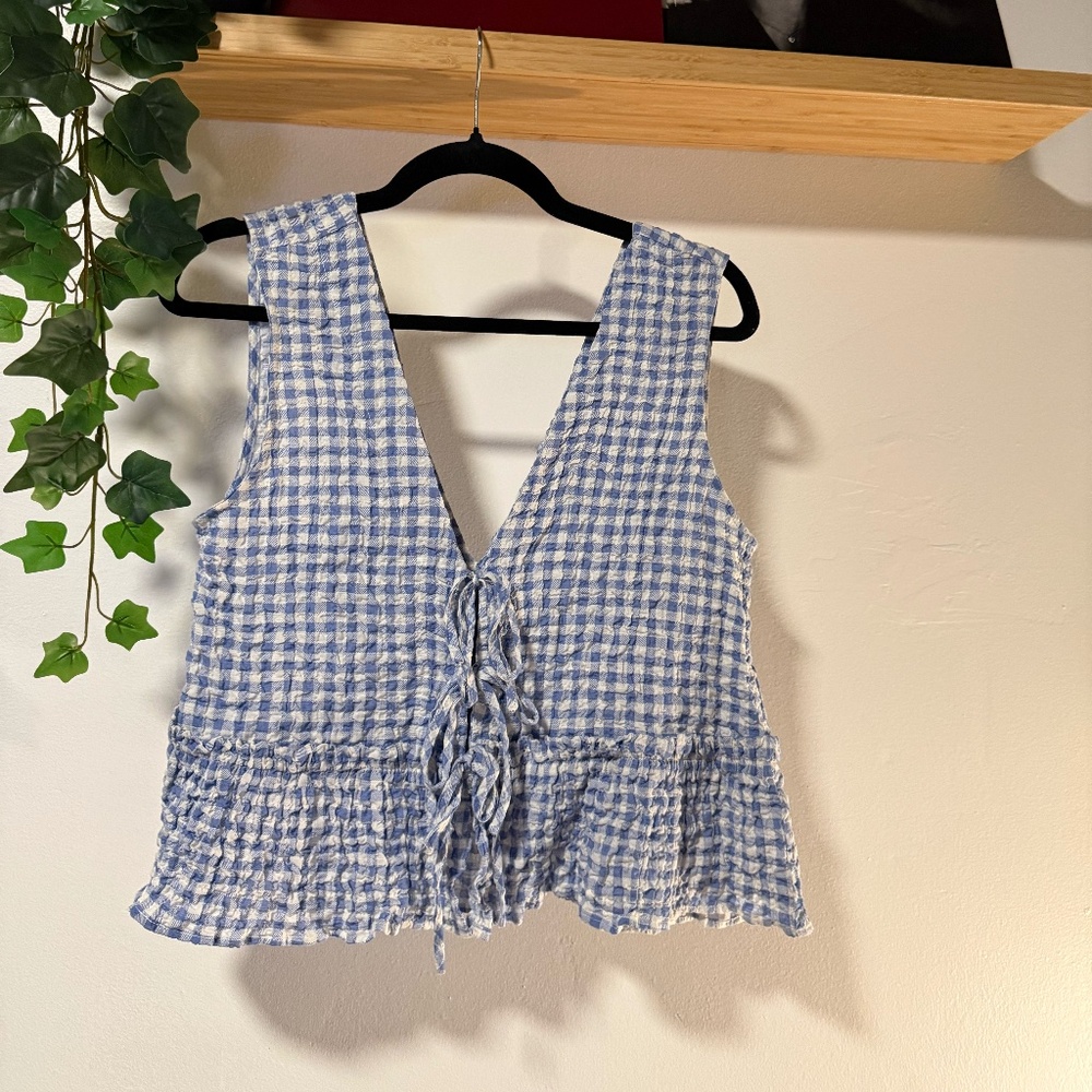 Zara Blue and White Gingham Crop Top